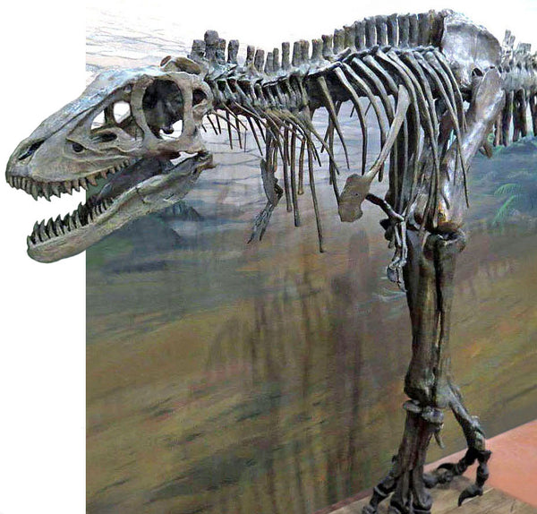 Dekorace dinosaurus T-rex na kovové noze - 47,5*15*36 cm - J-Line by Jolipa - 23 Dekorace dinosaurus T-rex na kovové noze - 47,5*15*36 cm - J-Line by Jolipa - 23