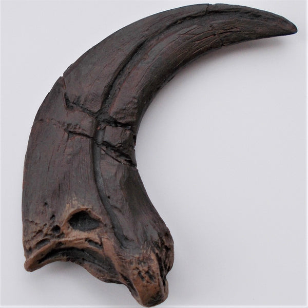 Raptor Claw Replica Fossil - Original Unrestored by TRIASSICA