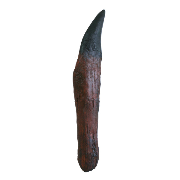 Huge T.Rex Tooth Replica - Triassica Dinosaur Fossils