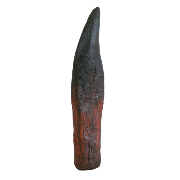 Large T.Rex Tooth Replica Fossil - Triassica Dinosaur Fossils