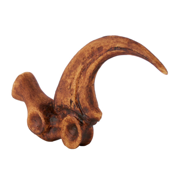 Deinonychus Claw Toe - Main Image