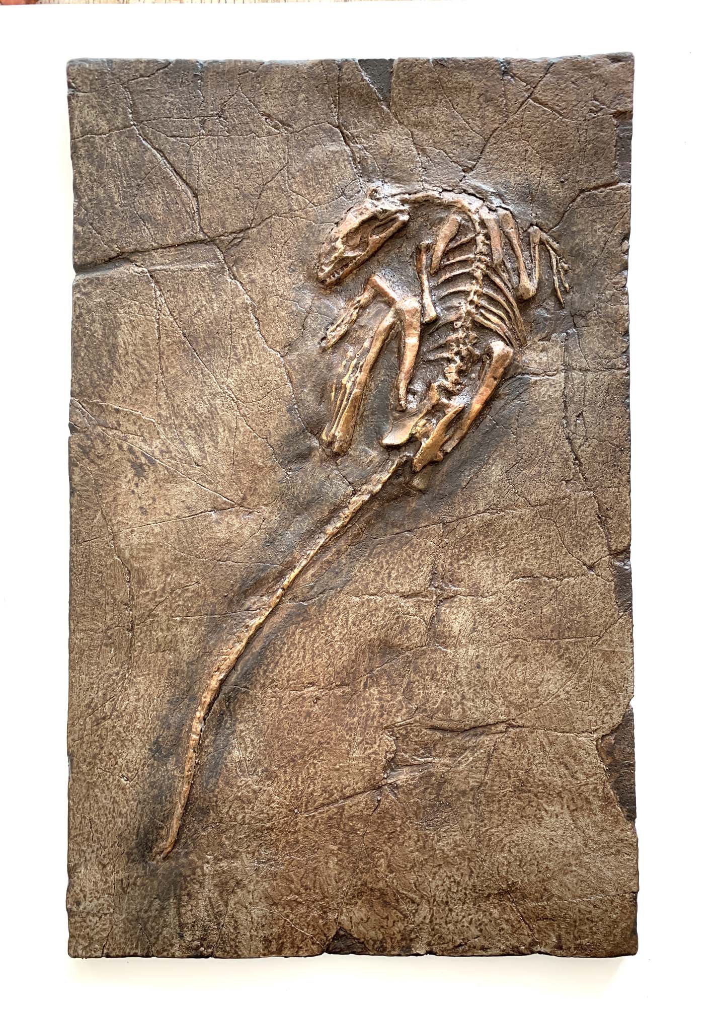 Microraptor Skeleton Restored - COMING SOON – Triassica