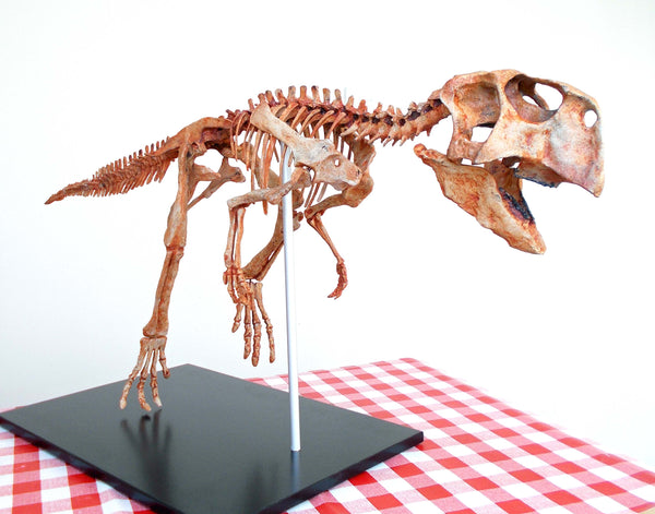 Psittacosaurus Skeleton Replica Fossil
