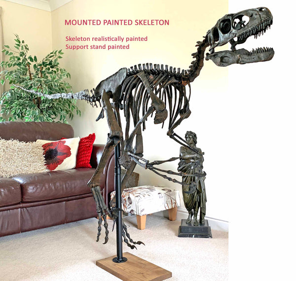 Deinonychus Raptor Skeleton Replica Fossil