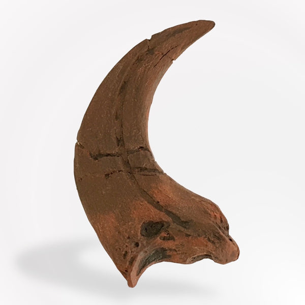 Raptor Claw Replica Fossil - Original Unrestored - Triassica Dinosaur Fossils