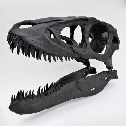 Museum Quality T.Rex Skull Replica for sale Triassica