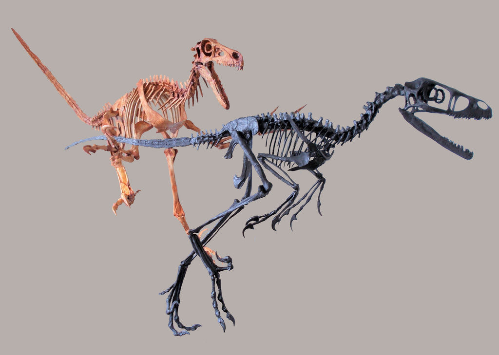 Triassica - Replica Dinosaur Fossils and Casts